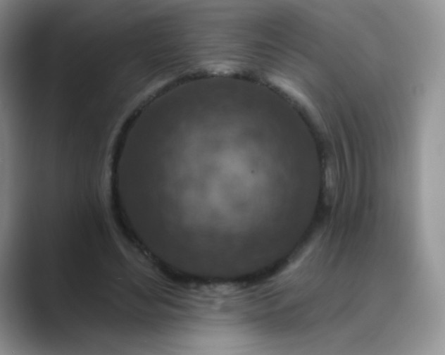 X0000089700492200707051646