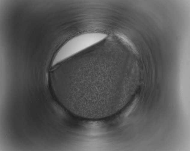 X0000089700493200707051646