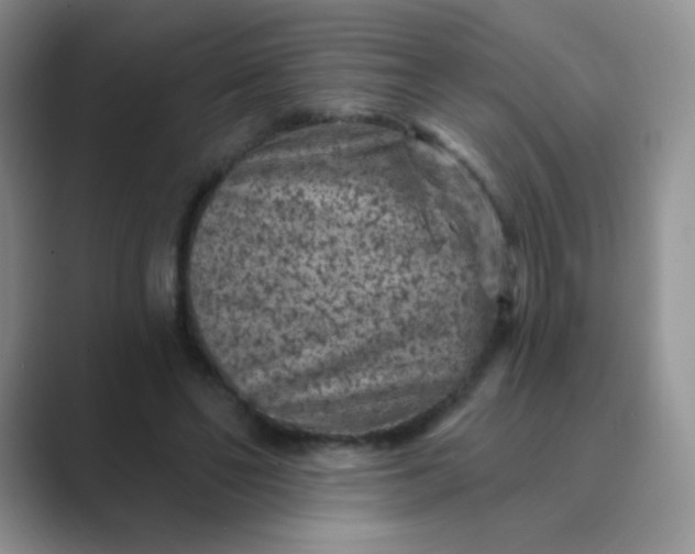 X0000089700494200707051646