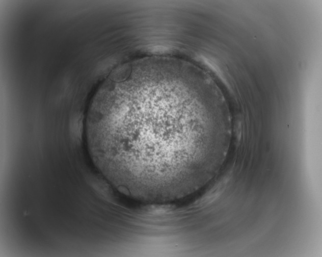 X0000089700495200707051646