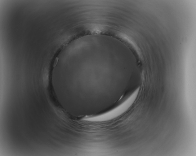 X0000089700496200707051646