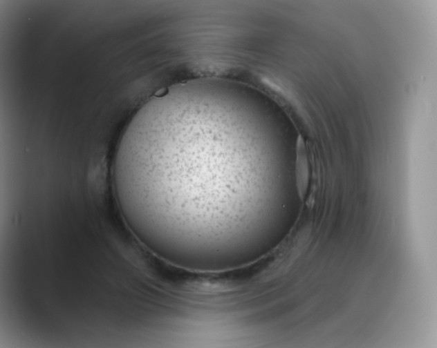 X0000089700498200707051646