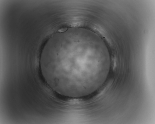 X0000089700499200707051646