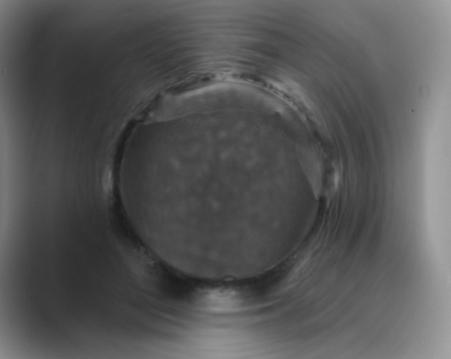 X0000089700500200707051646