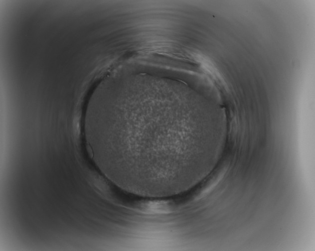 X0000089700501200707051646