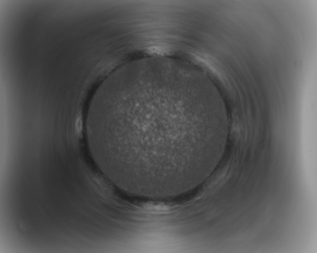 X0000089700502200707051646