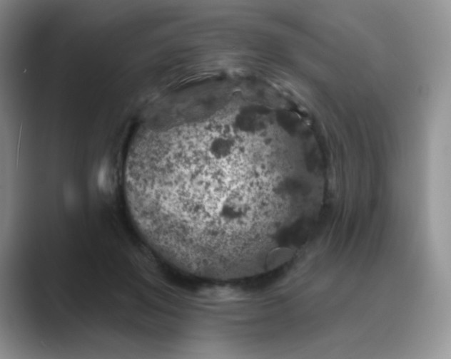 X0000089700503200707051646