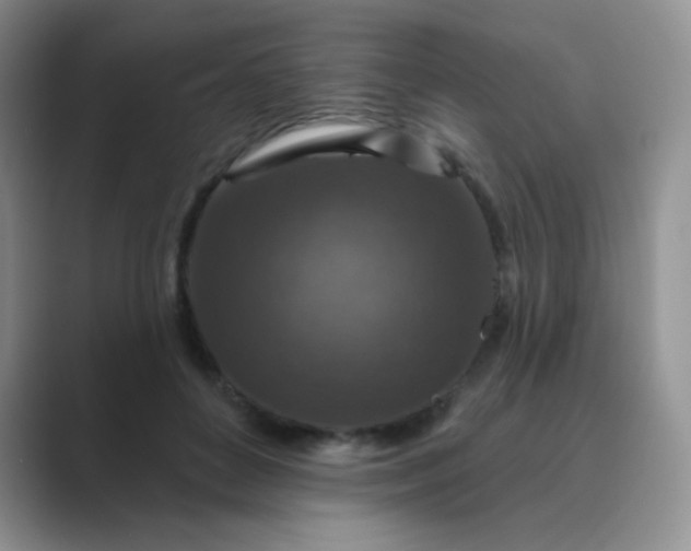 X0000089700504200707051646