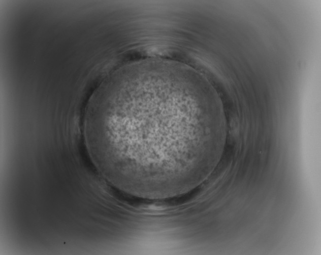 X0000089700506200707051646