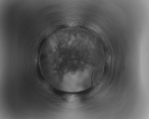 X0000089700507200707051646