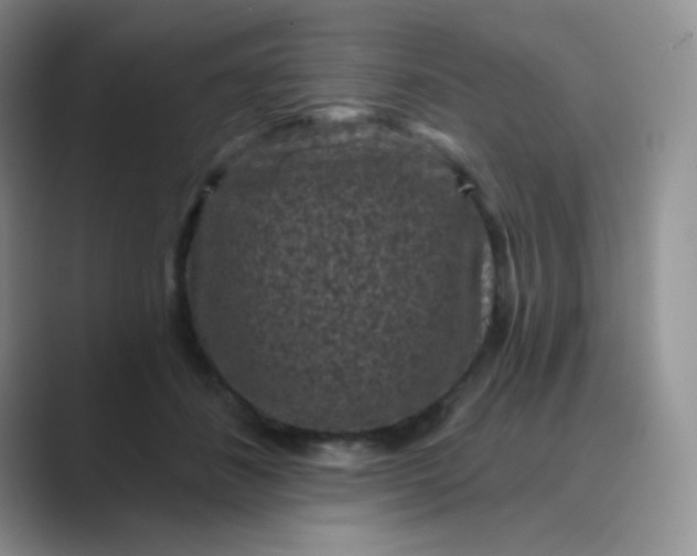 X0000089700508200707051646