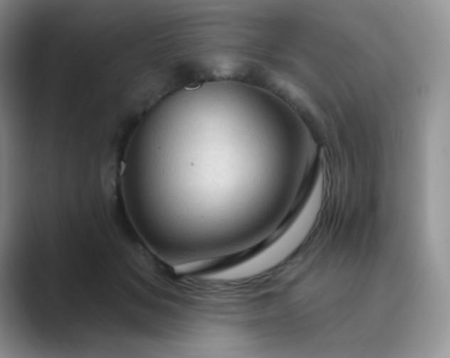 X0000089700509200707051646