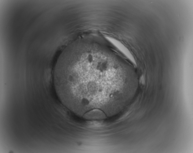 X0000089700511200707051646