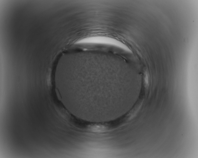 X0000089700512200707051646