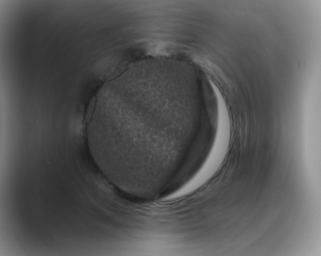 X0000089700513200707051646