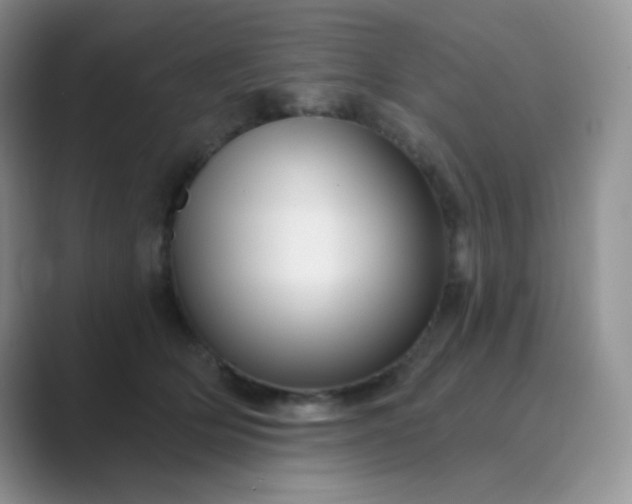 X0000089700514200707051646