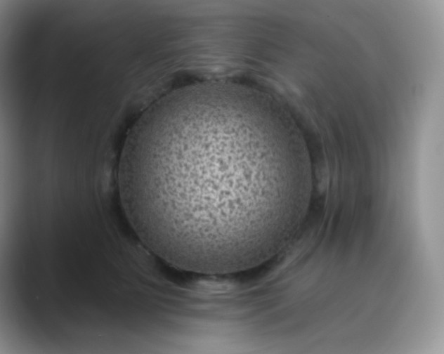 X0000089700515200707051646