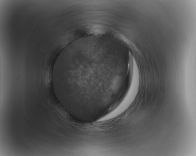 X0000089700517200707051646