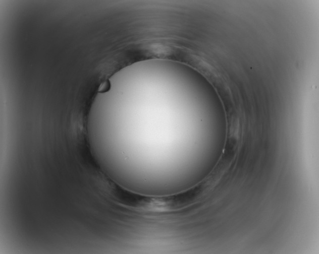 X0000089700518200707051646