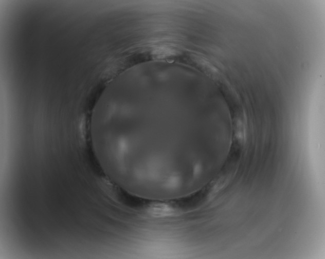 X0000089700519200707051646