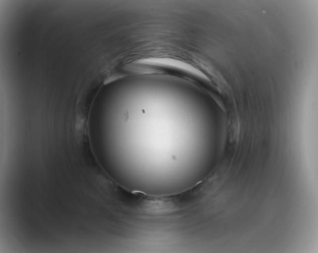 X0000089700521200707051646