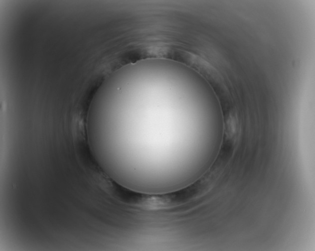 X0000089700522200707051646