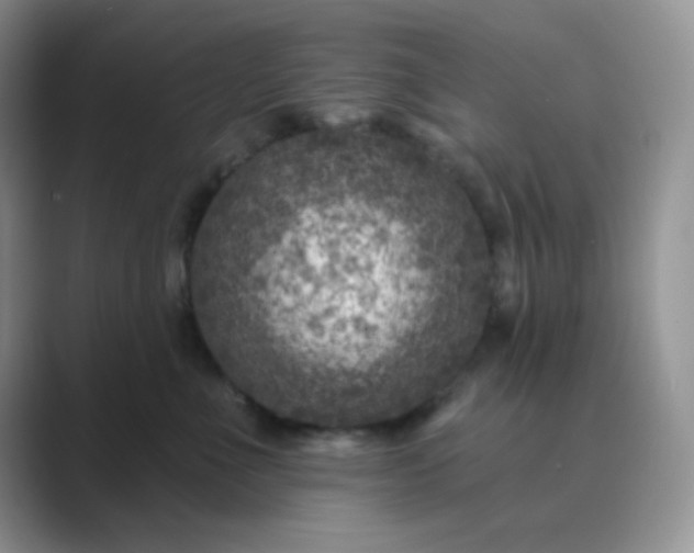 X0000089700523200707051646