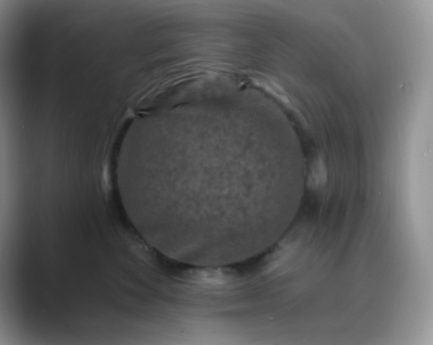 X0000089700524200707051646