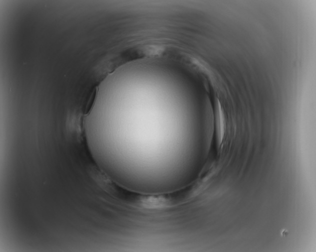 X0000089700525200707051646