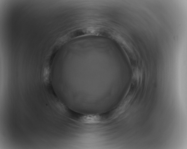 X0000089700526200707051646