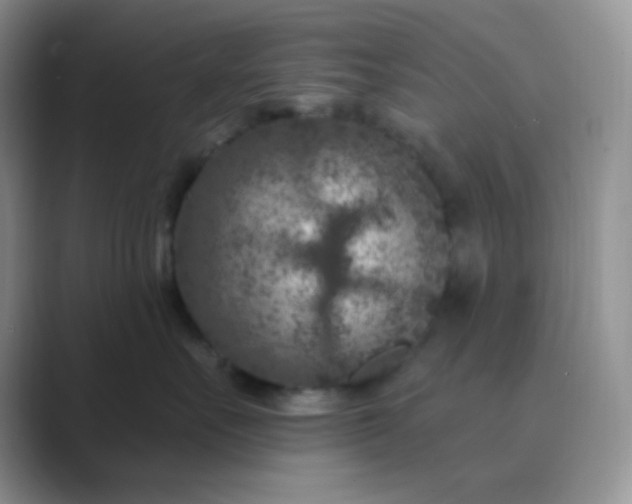 X0000089700527200707051646