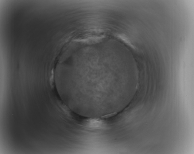 X0000089700528200707051646