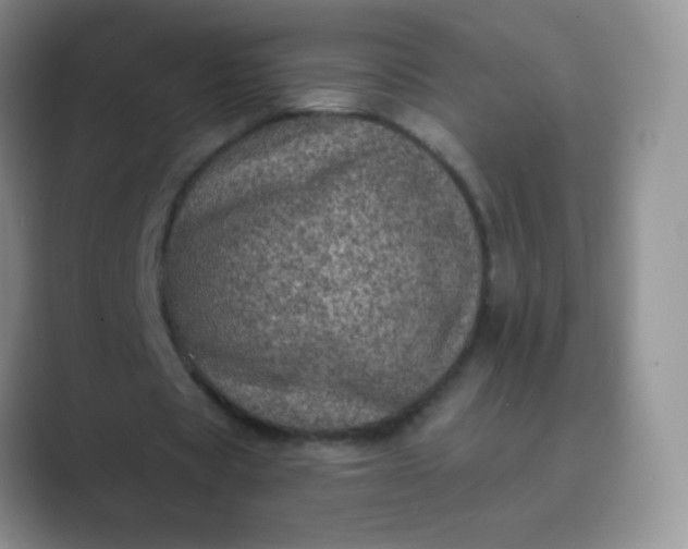 X0000089700529200707051645