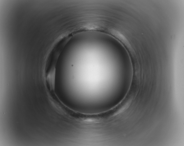 X0000089700530200707051645