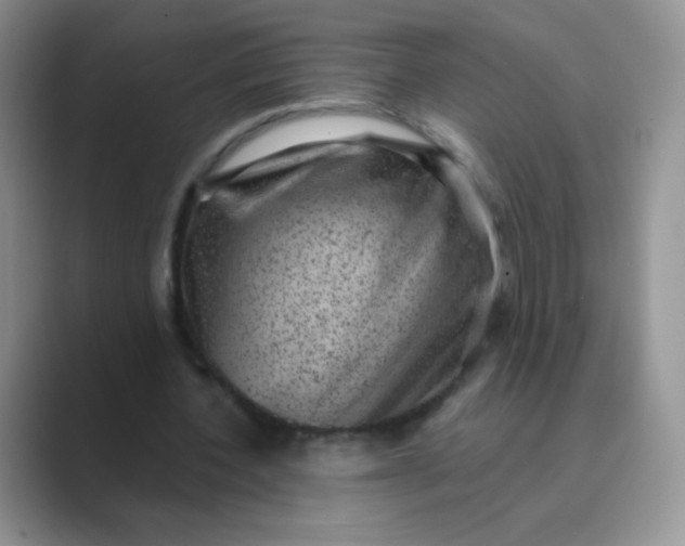 X0000089700532200707051645