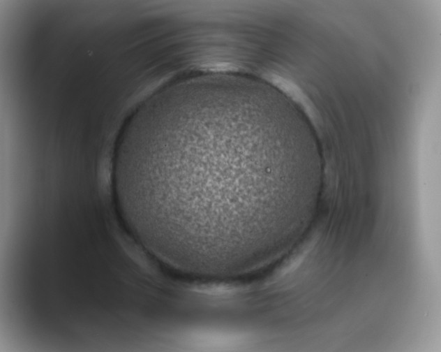 X0000089700533200707051645