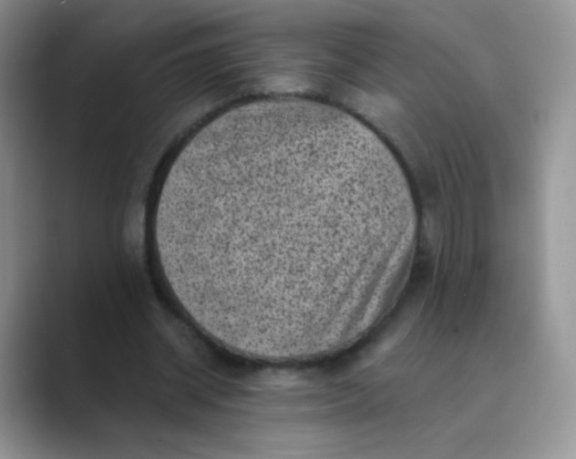 X0000089700534200707051645