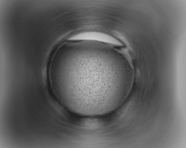 X0000089700535200707051645