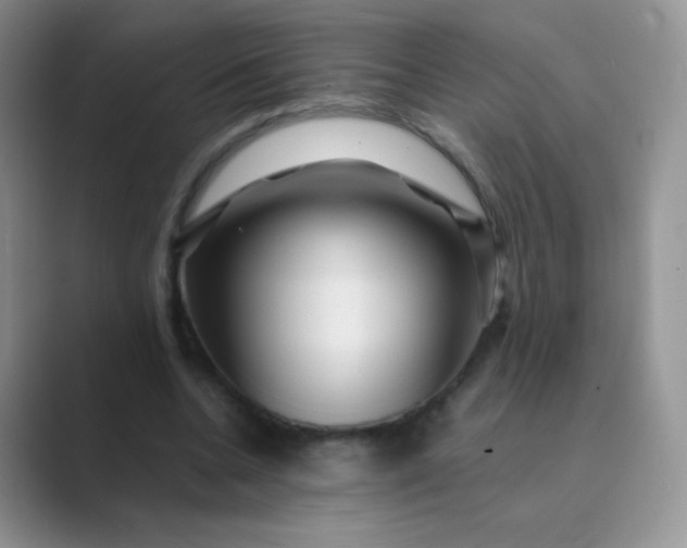 X0000089700536200707051645