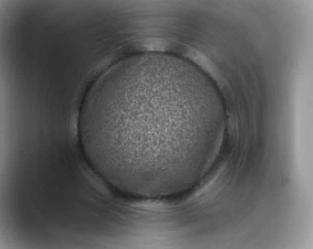 X0000089700537200707051645