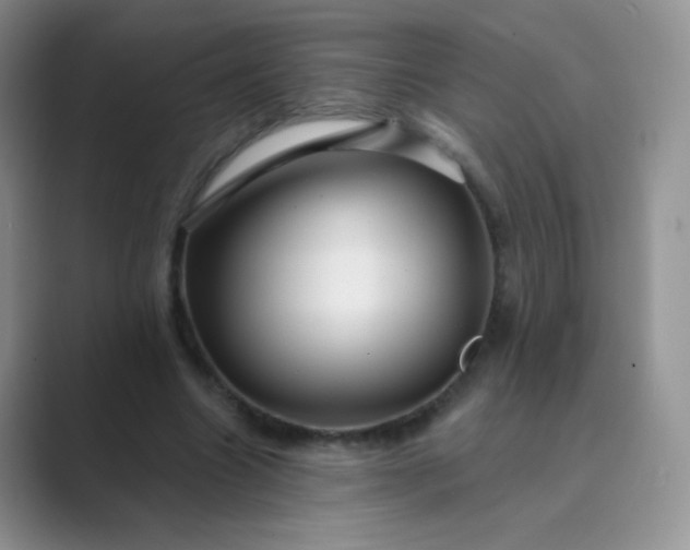 X0000089700538200707051645