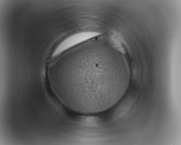 X0000089700539200707051645