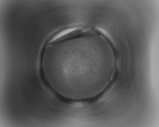 X0000089700540200707051645