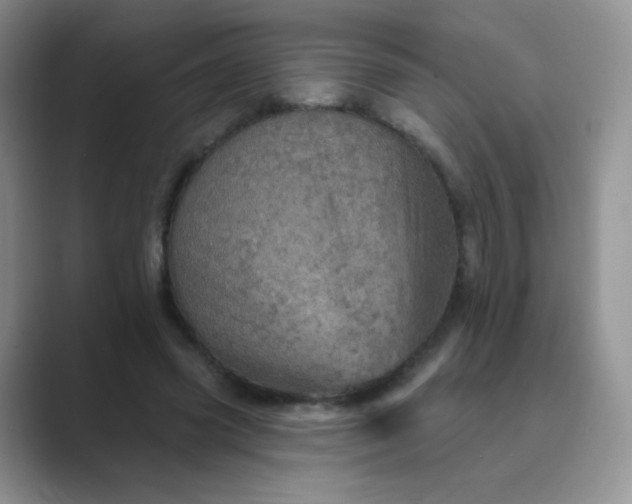 X0000089700541200707051645