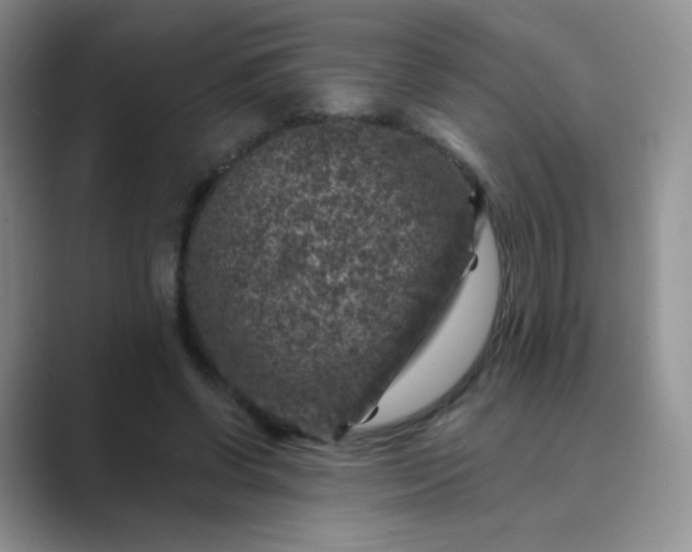 X0000089700542200707051645