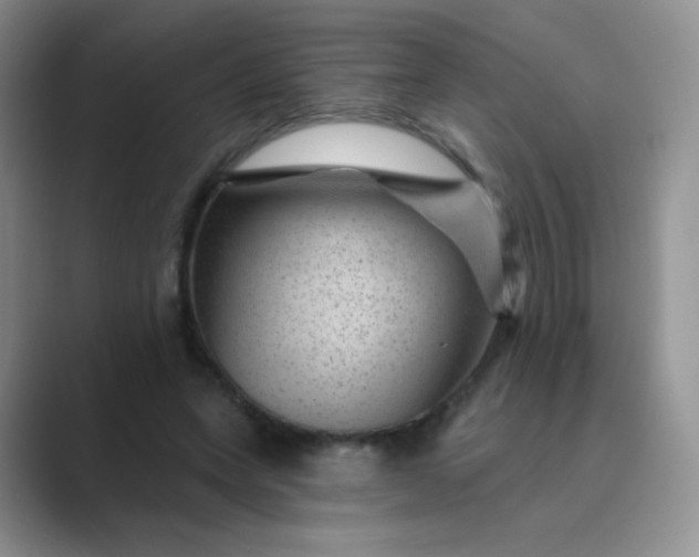 X0000089700543200707051645