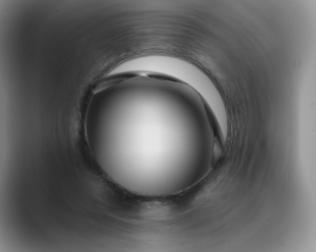 X0000089700544200707051645