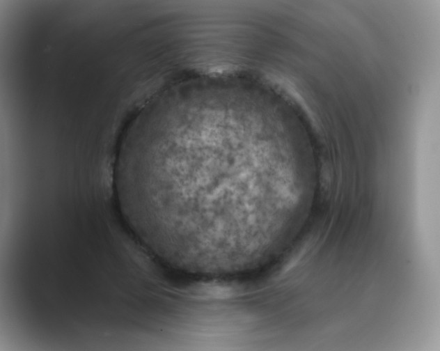 X0000089700545200707051645