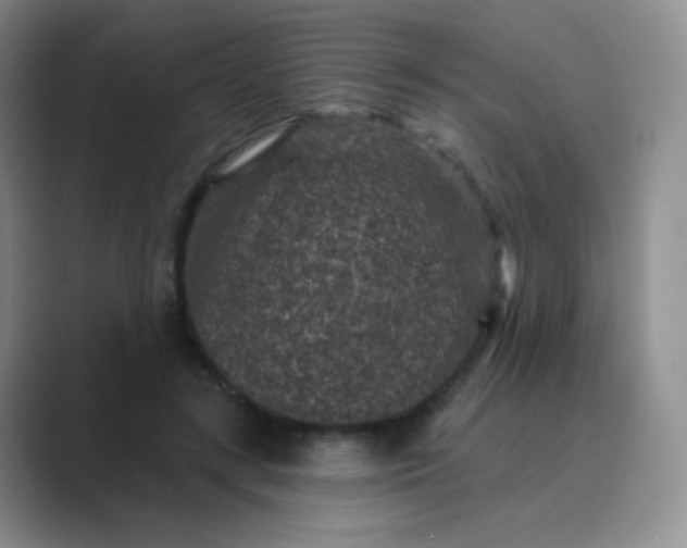 X0000089700547200707051645