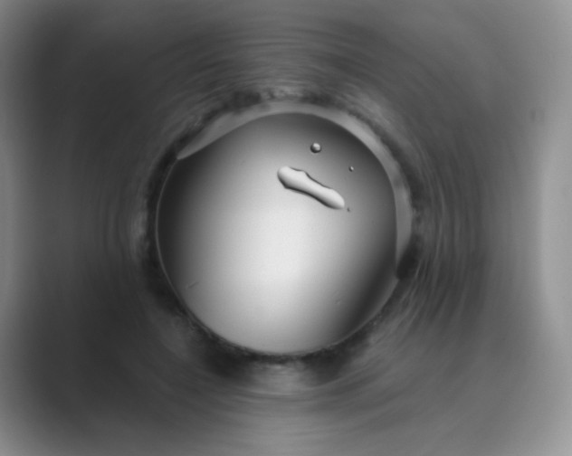 X0000089700548200707051645